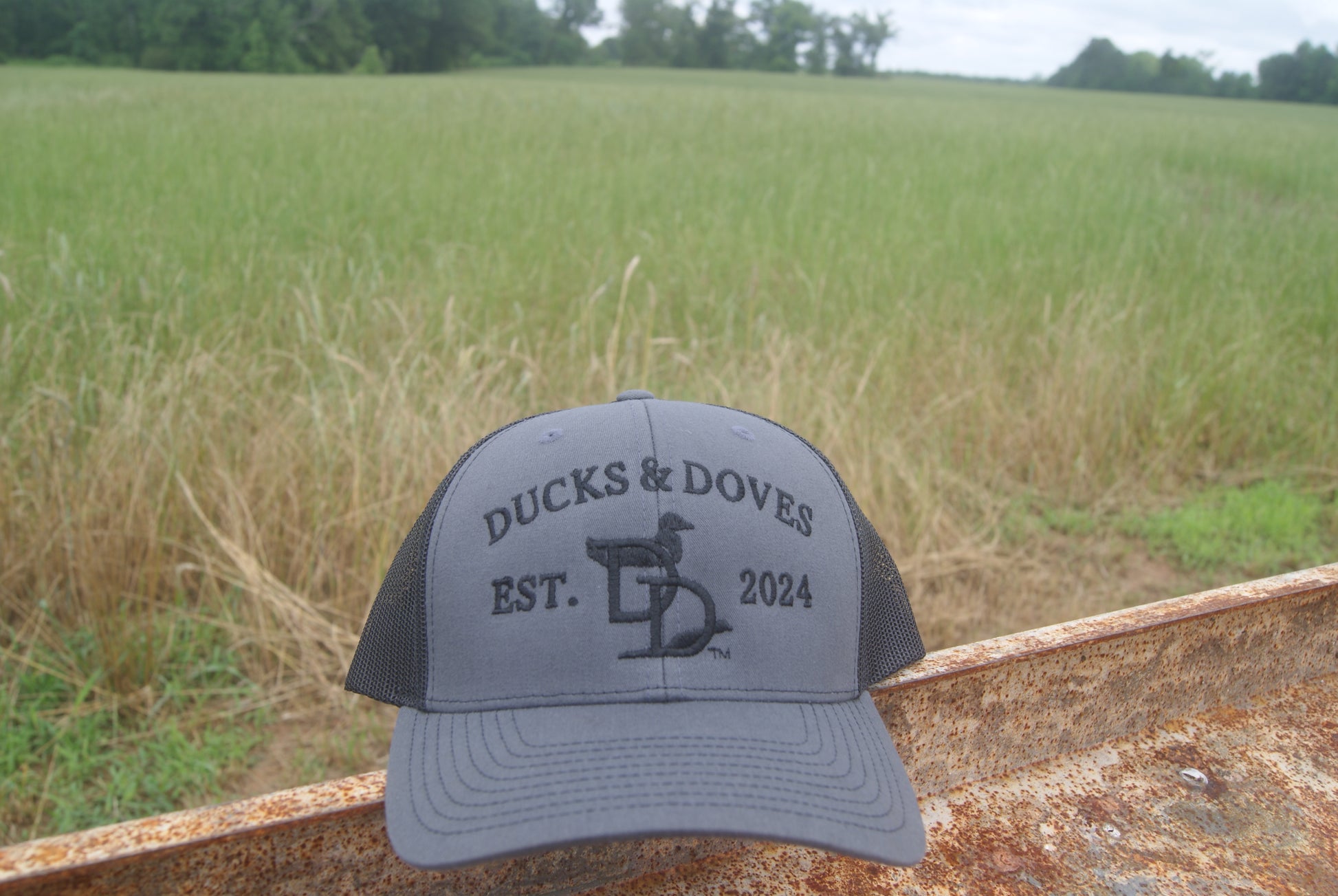 Ducks and DovesGray Hat